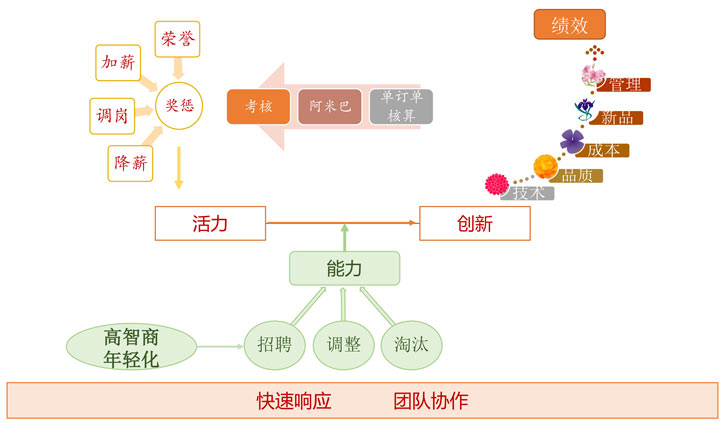 新产品新市场能力活力 - 五行科技股份有限公司